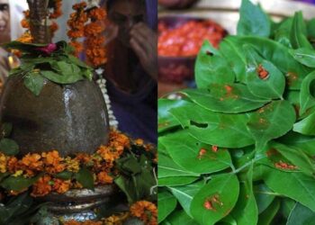 Sawan Somwar 2023: सावन के पहले सोमवार पर जरूर करें बेलपत्र से जुड़े ये उपाय, पूरी होगी हर मनोकामना