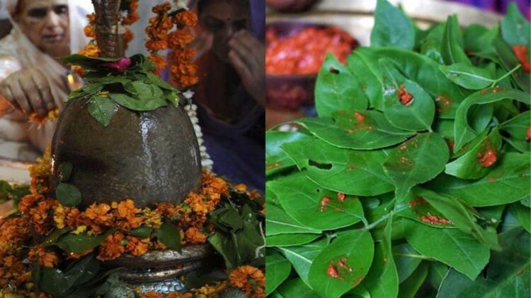 Sawan Somwar 2023: सावन के पहले सोमवार पर जरूर करें बेलपत्र से जुड़े ये उपाय, पूरी होगी हर मनोकामना