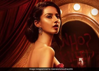 पापा आर्मी मैन, खुद हैं डॉक्टर, सालार में कंधे से कंधा मिलाकर प्रभास के साथ आएंगी ये साउथ की अदाकारा नजर