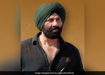 Gadar 2 Box Office Collection Day 37: वीकेंड का दिखा कमाल, गदर 2 की बढ़ी कमाई लेकिन जवान के आगे हुई फेल! देखें 37th डे का कलेक्शन